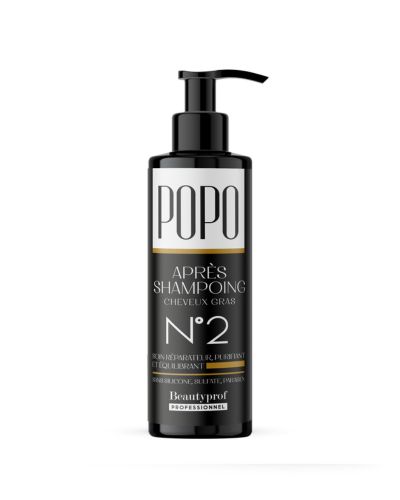 APRÉS SHAMPOING CHEVEUX GRAS N°2